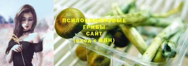 дмт Мегион