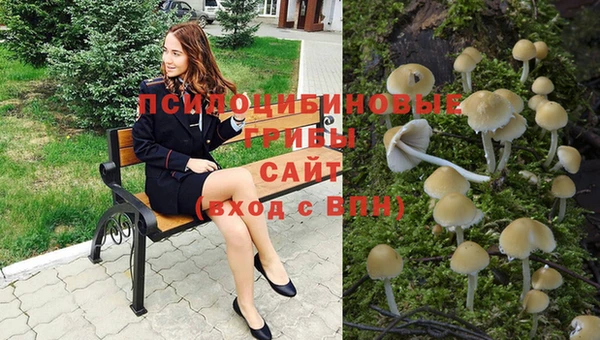 скорость Медногорск