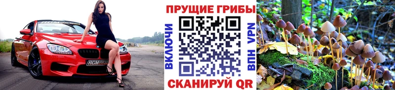 Псилоцибиновые грибы Magic Shrooms Рассказово