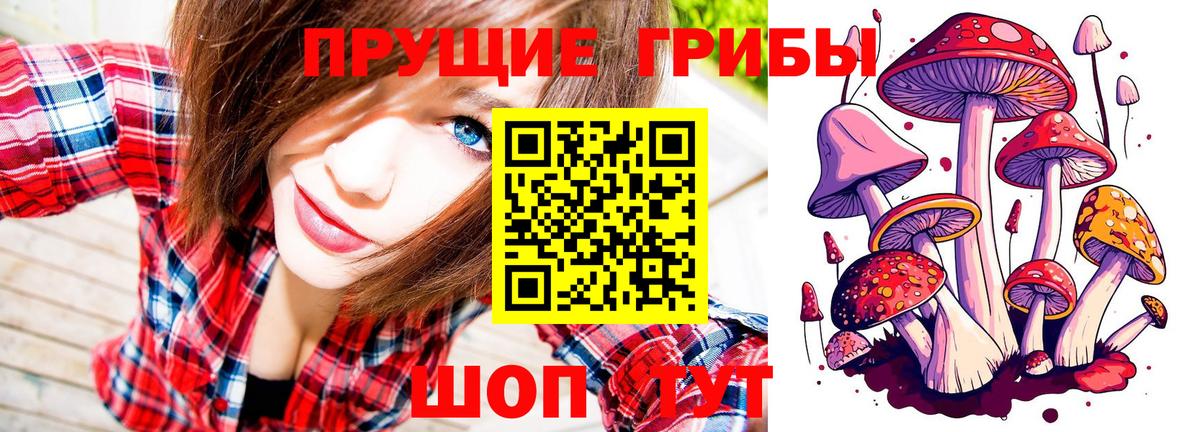 Псилоцибиновые грибы MAGIC MUSHROOMS Рассказово